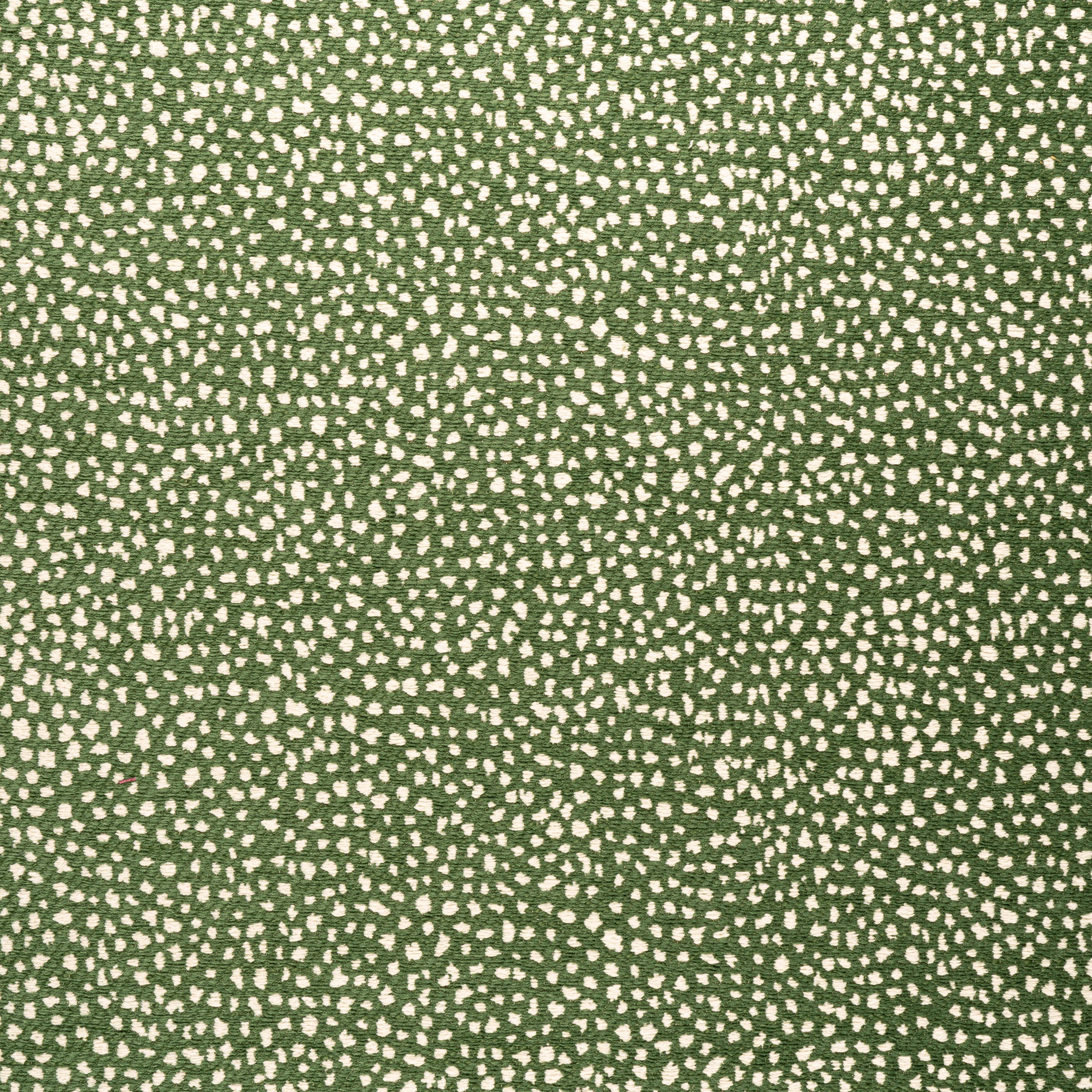 FAWN - Forest
