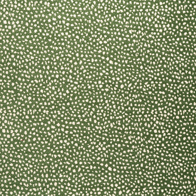 FAWN - Forest