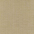 PALMETTO - Straw