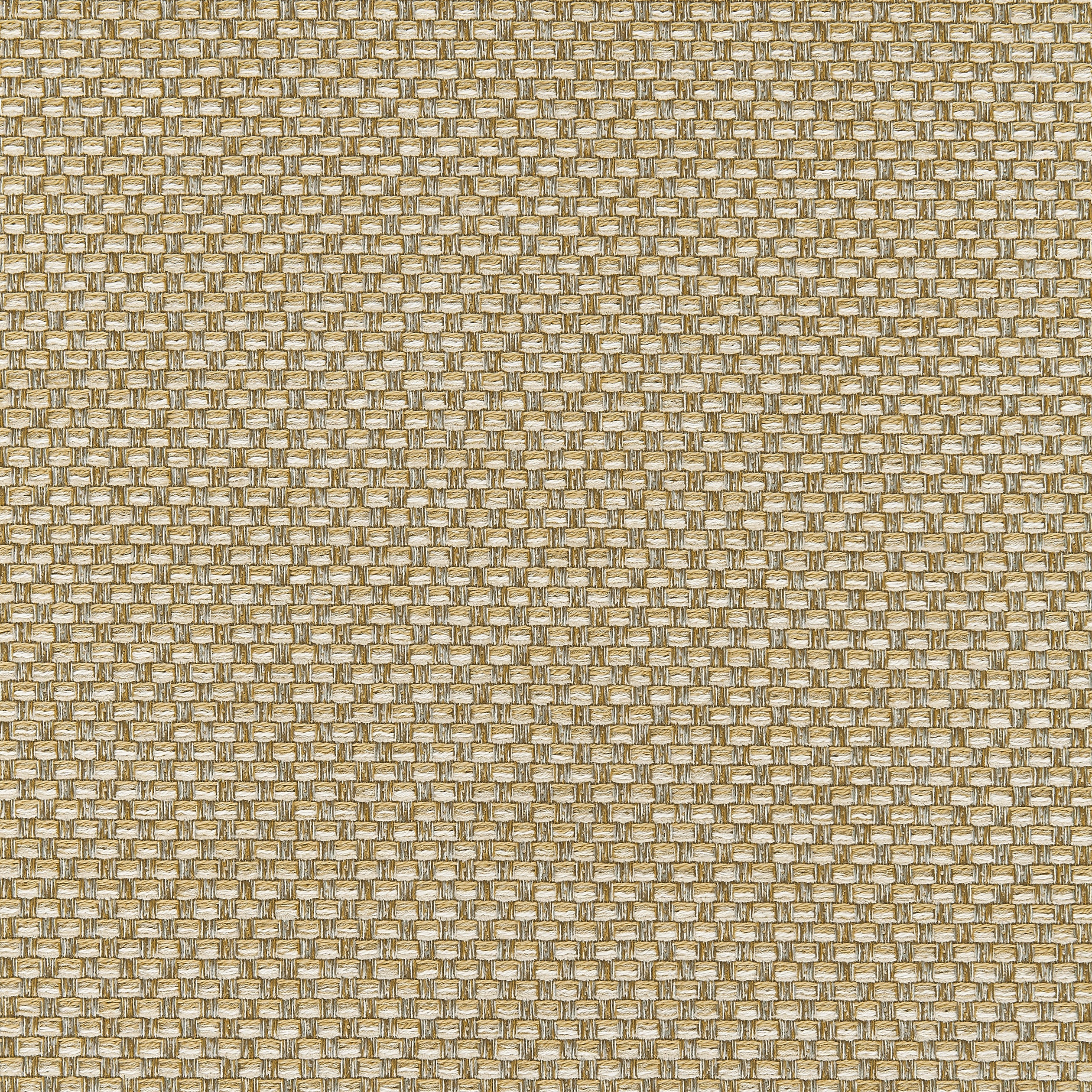 PALMETTO - Straw
