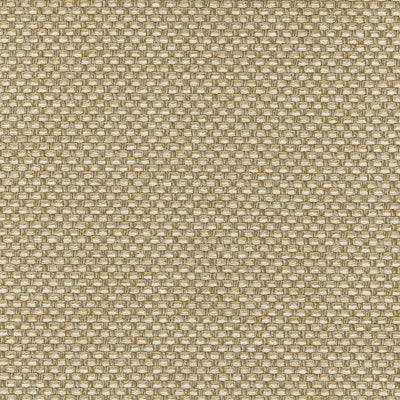 PALMETTO - Straw