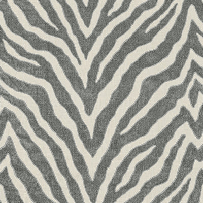 ETOSHA VELVET - Graphite