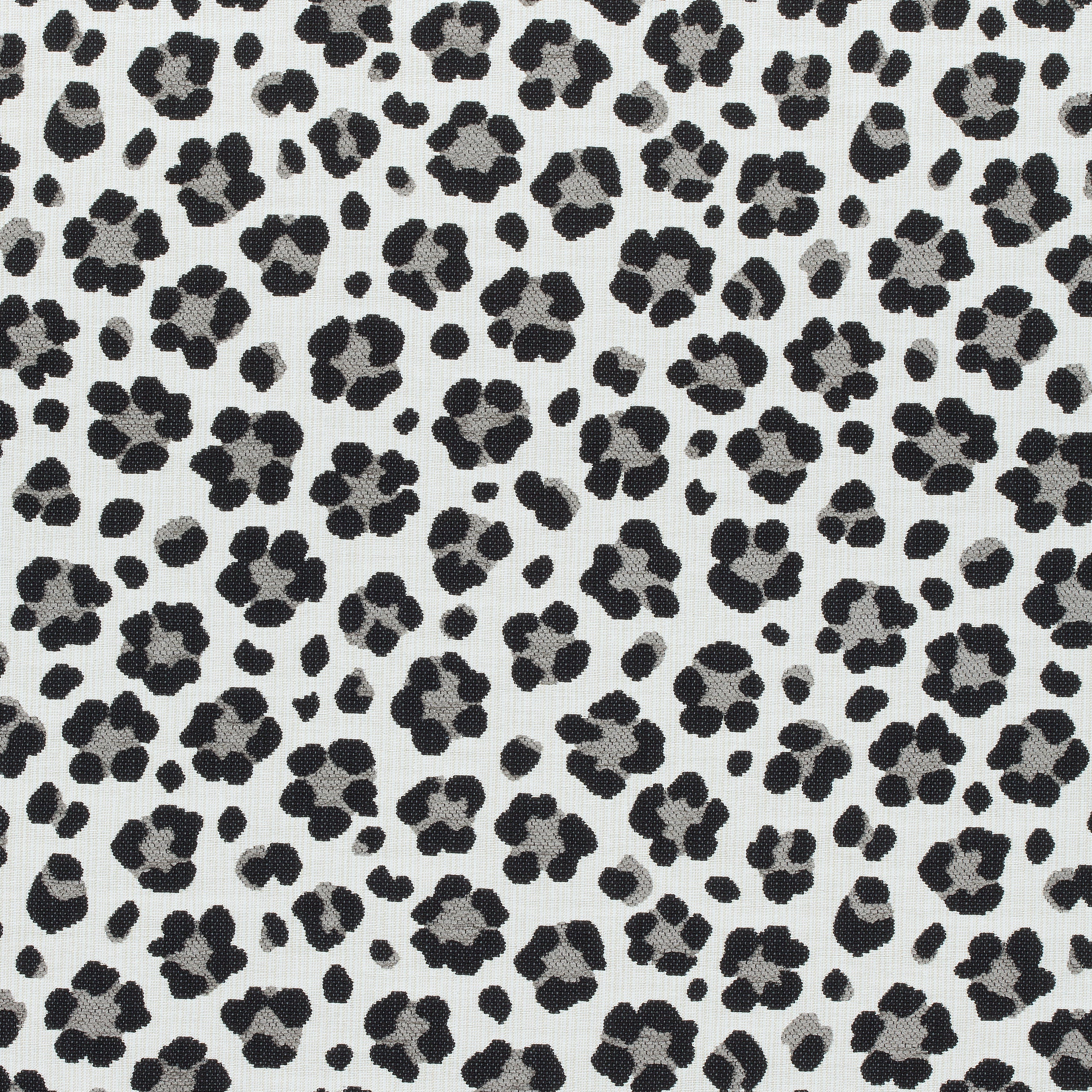 TRIXIE - Black and Grey