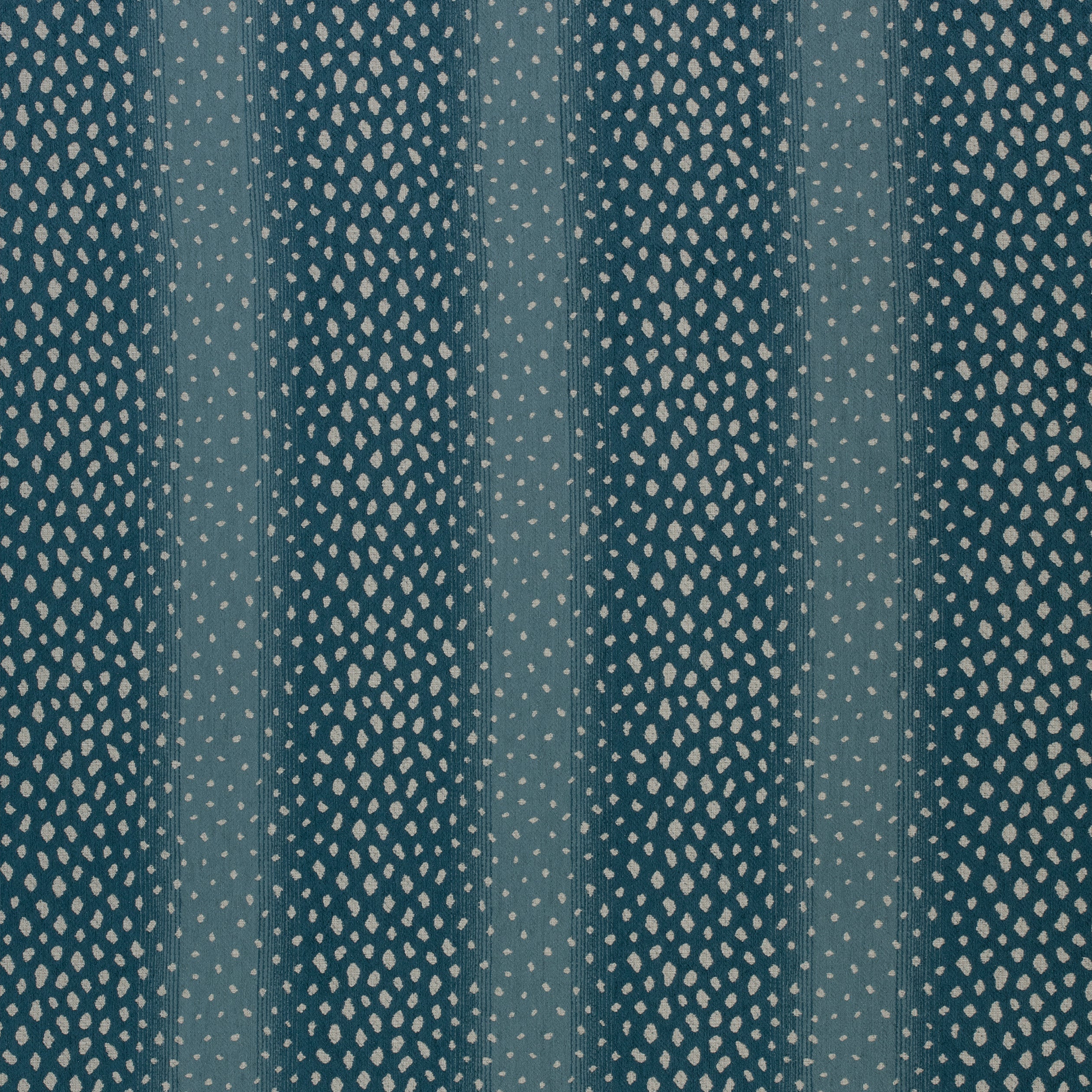 GAZELLE - Peacock