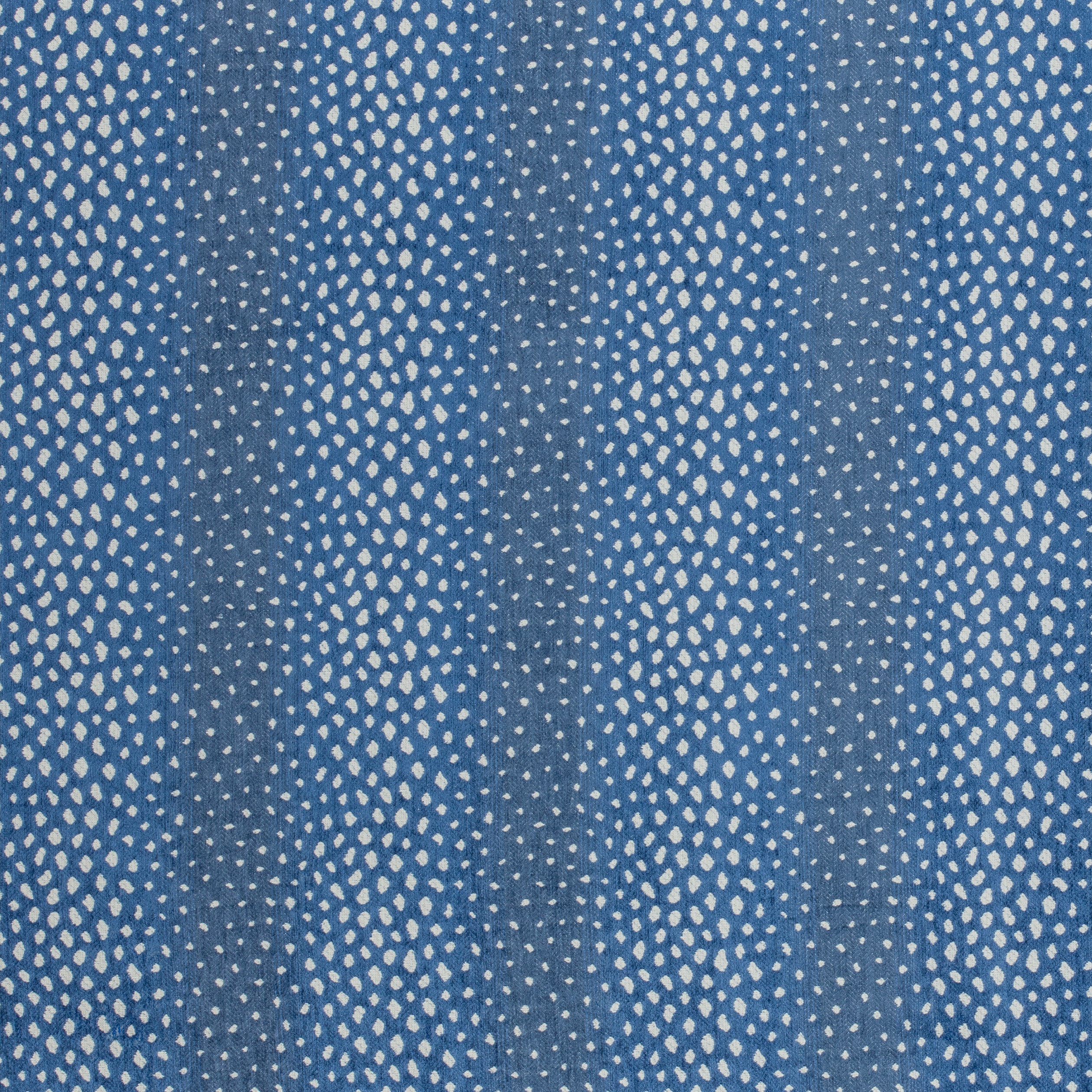 GAZELLE - Blue