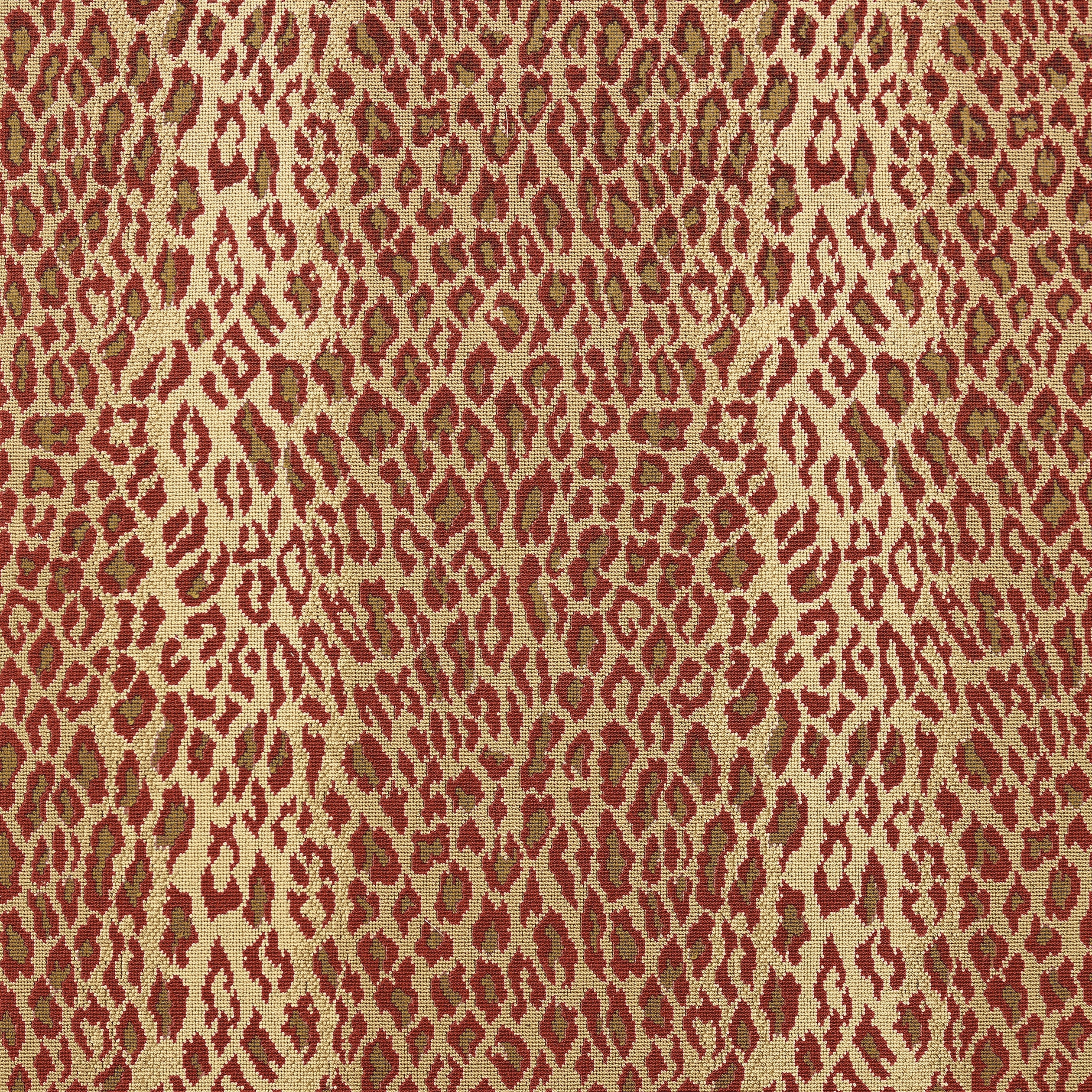 AMUR - Cardinal