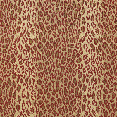 AMUR - Cardinal