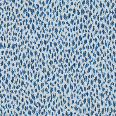 CITRA - Blue