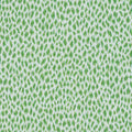 CITRA - Grass