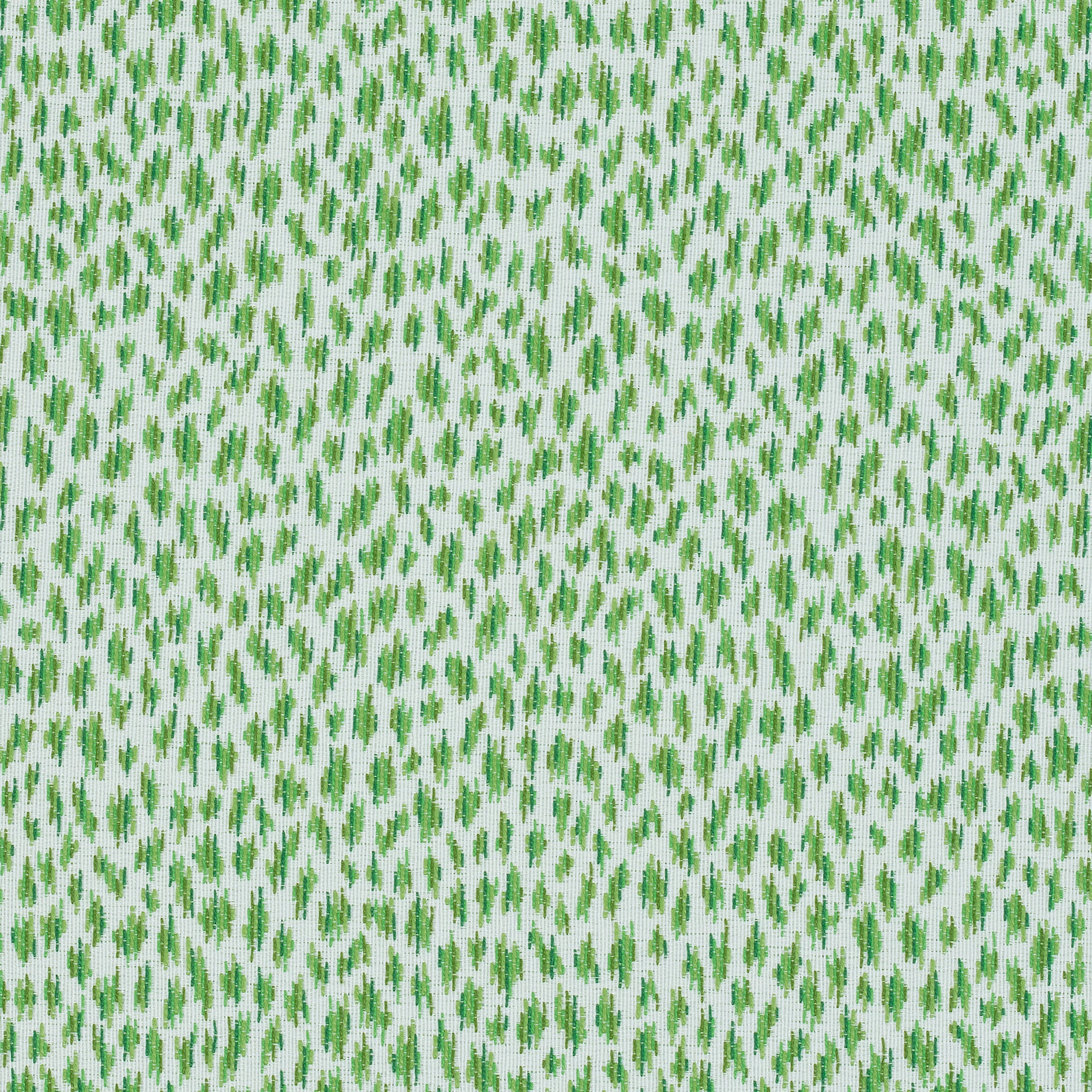 CITRA - Grass