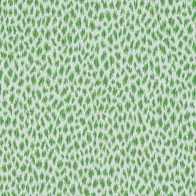 CITRA - Grass