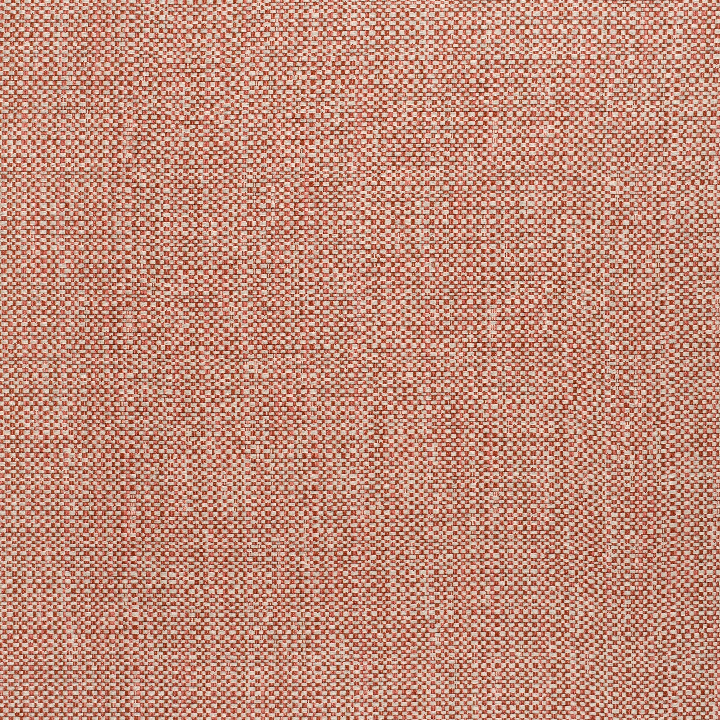 MOSAIC - Coral