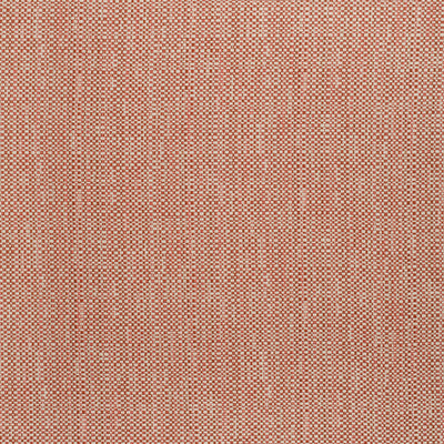 MOSAIC - Coral