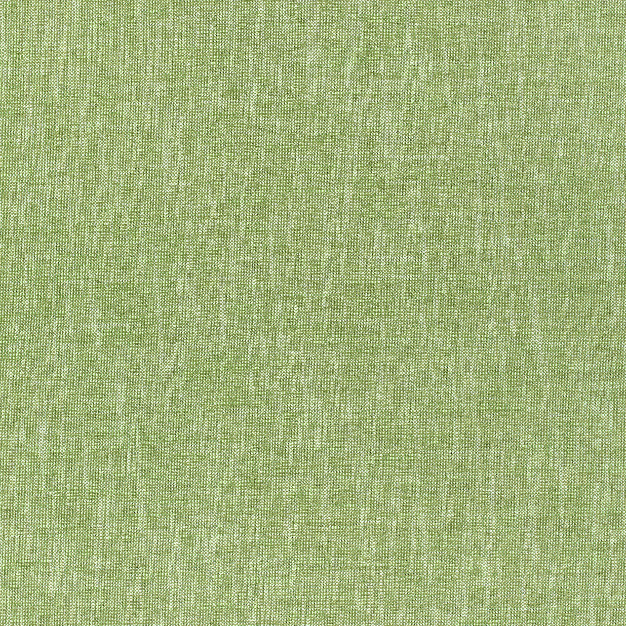 BAILEY - Grass
