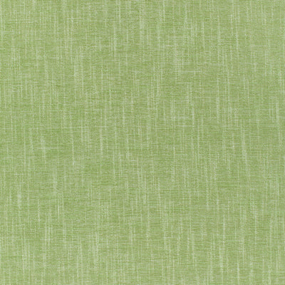 BAILEY - Grass