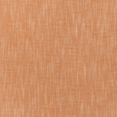 BAILEY - Coral