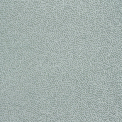 KALI - Aqua