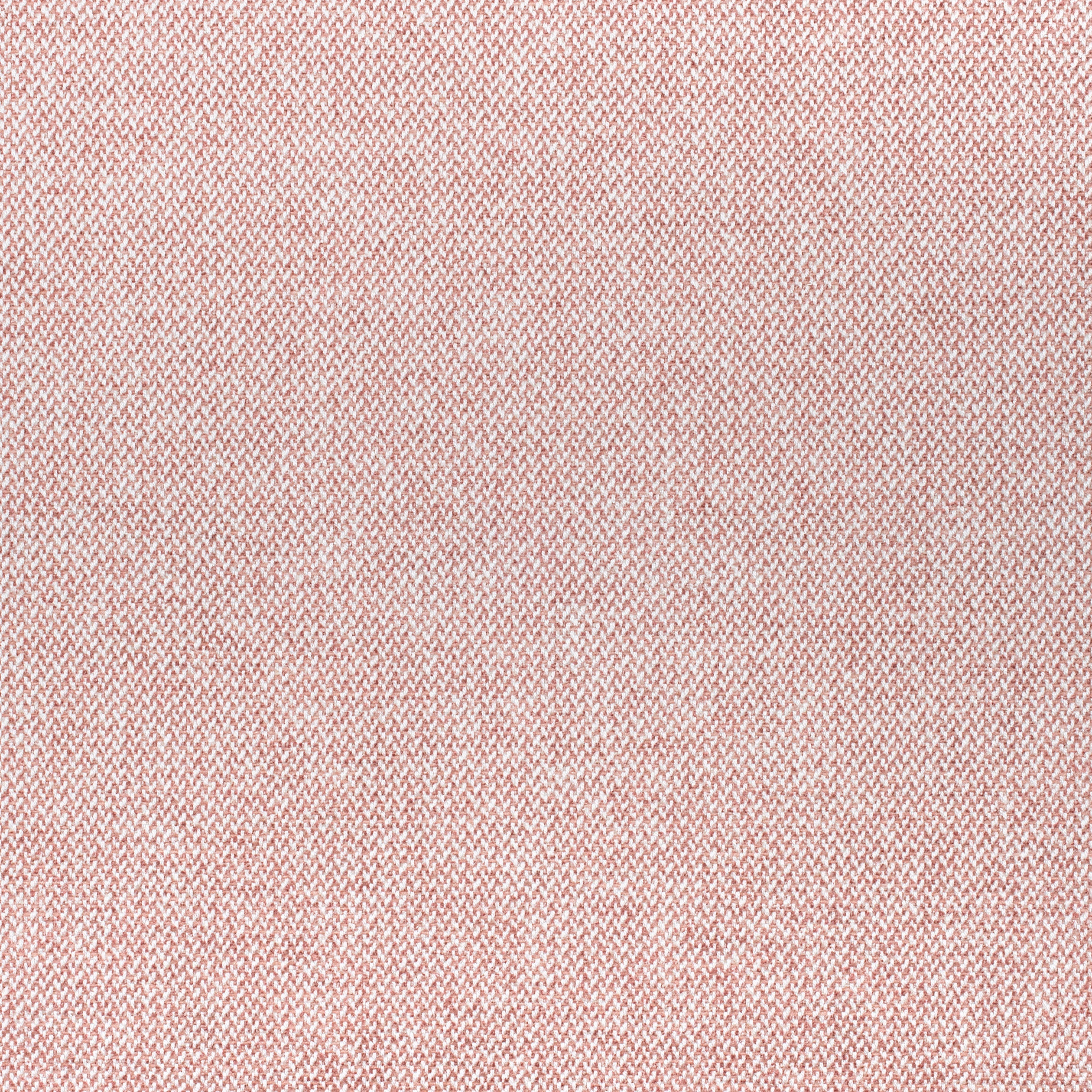 PICCO - Blush