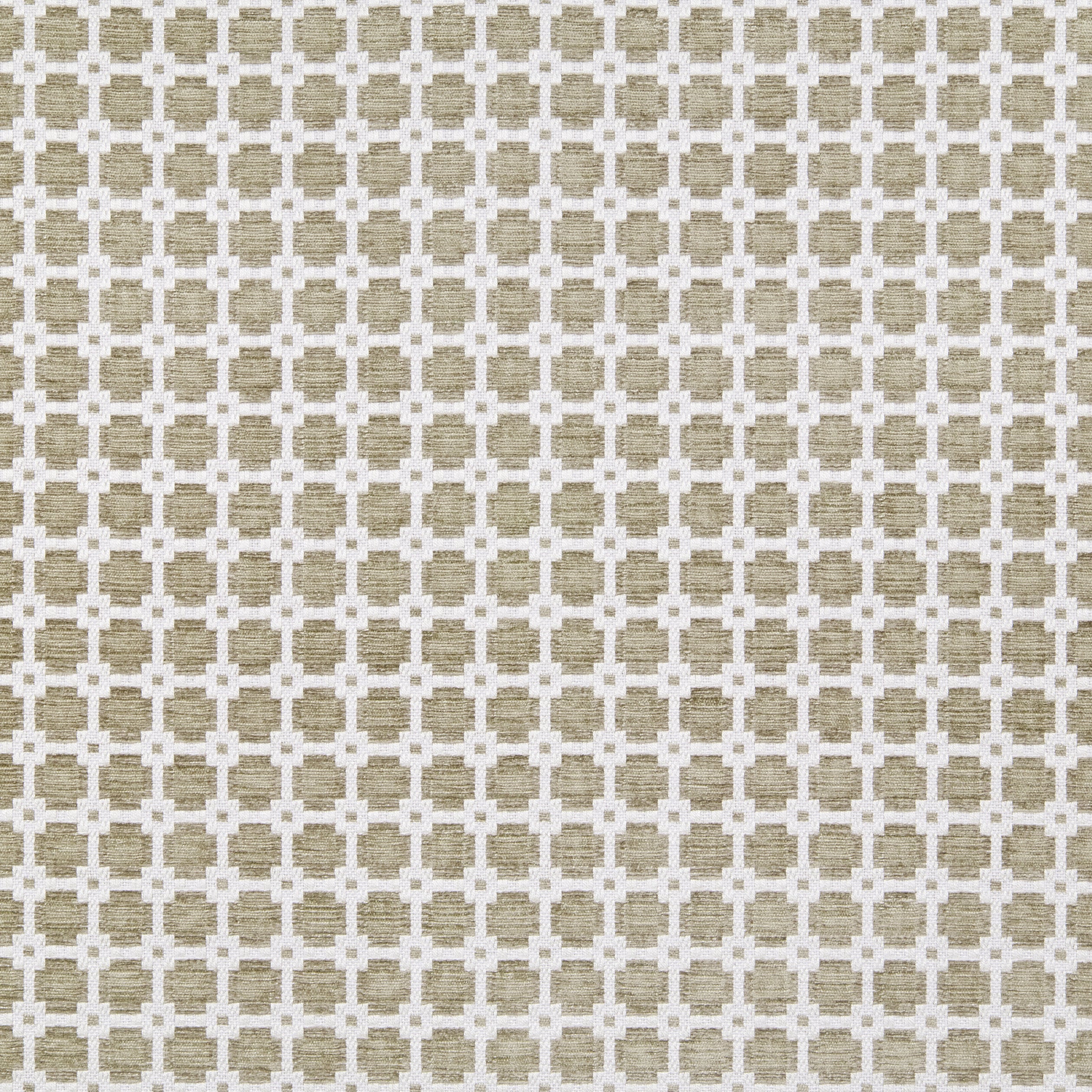 APOLLO - Flax