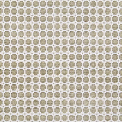 APOLLO - Flax