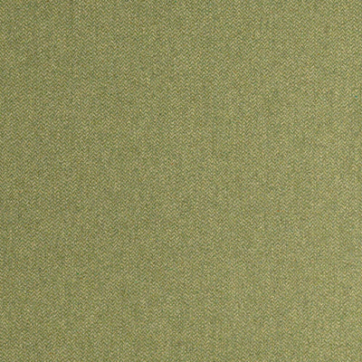 DORSET - Moss