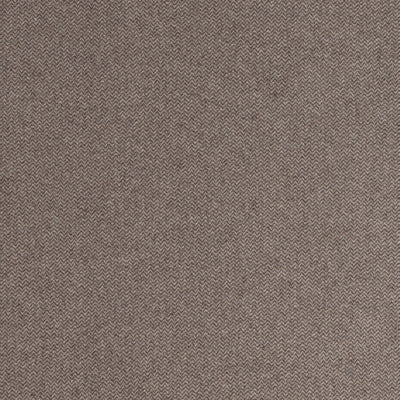 DORSET - Acorn