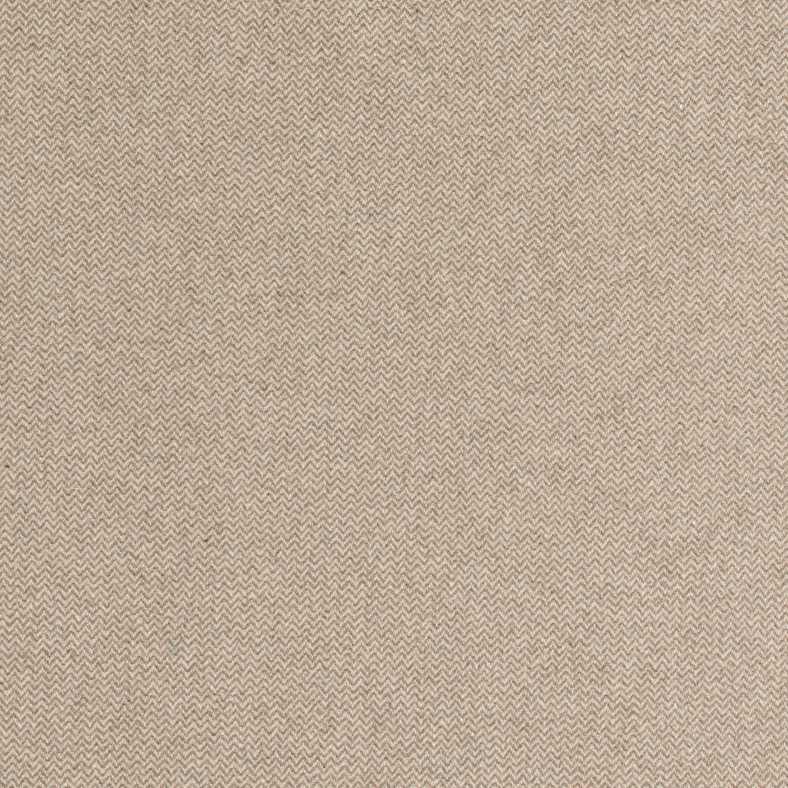 DORSET - Fawn