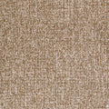 SHANNON - Bark
