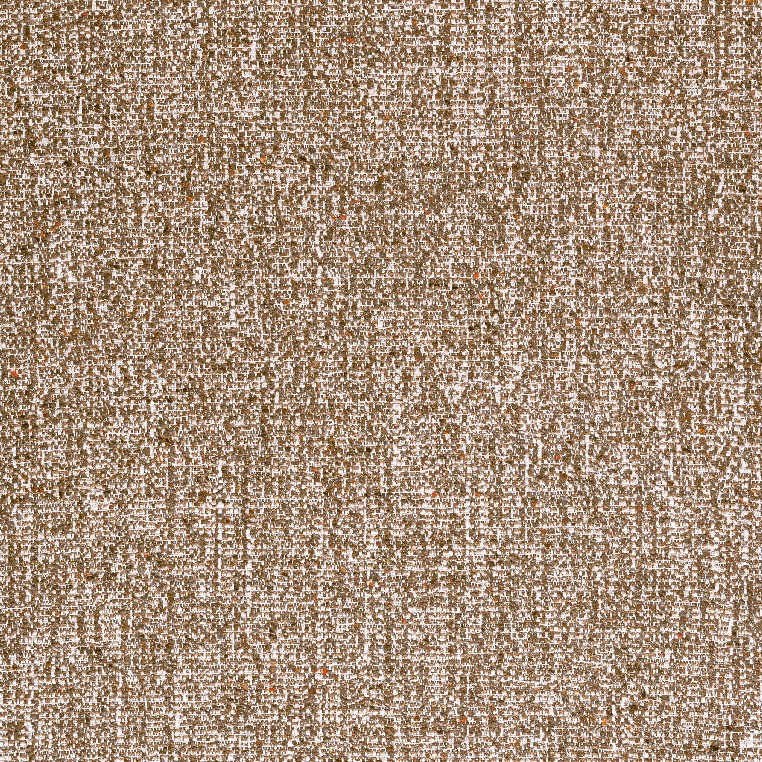 SHANNON - Bark