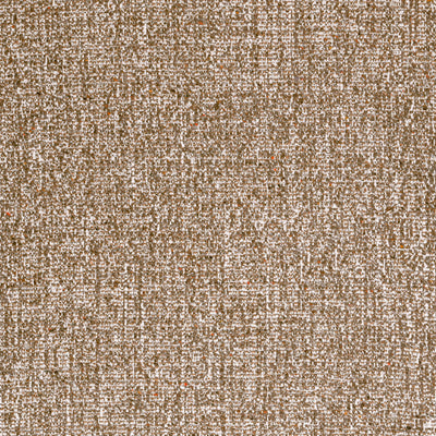 SHANNON - Bark