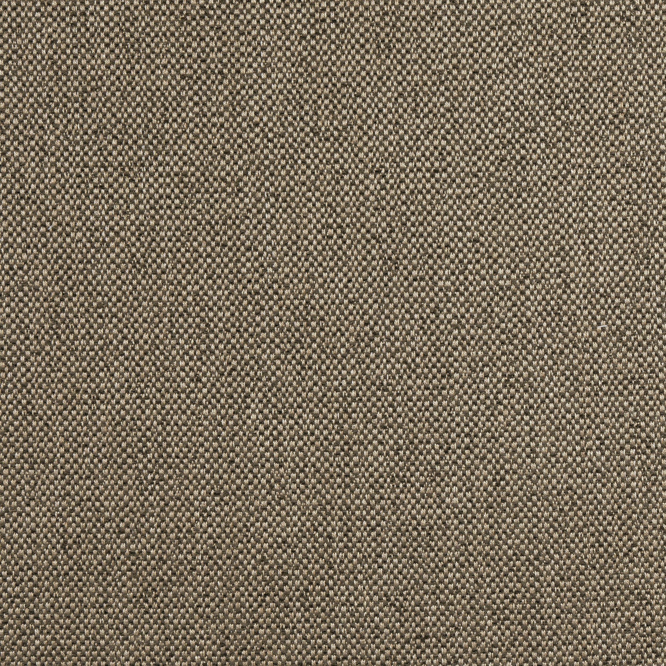 TINTA - Mocha