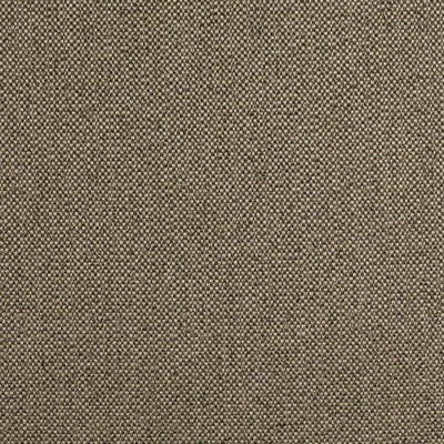 TINTA - Mocha