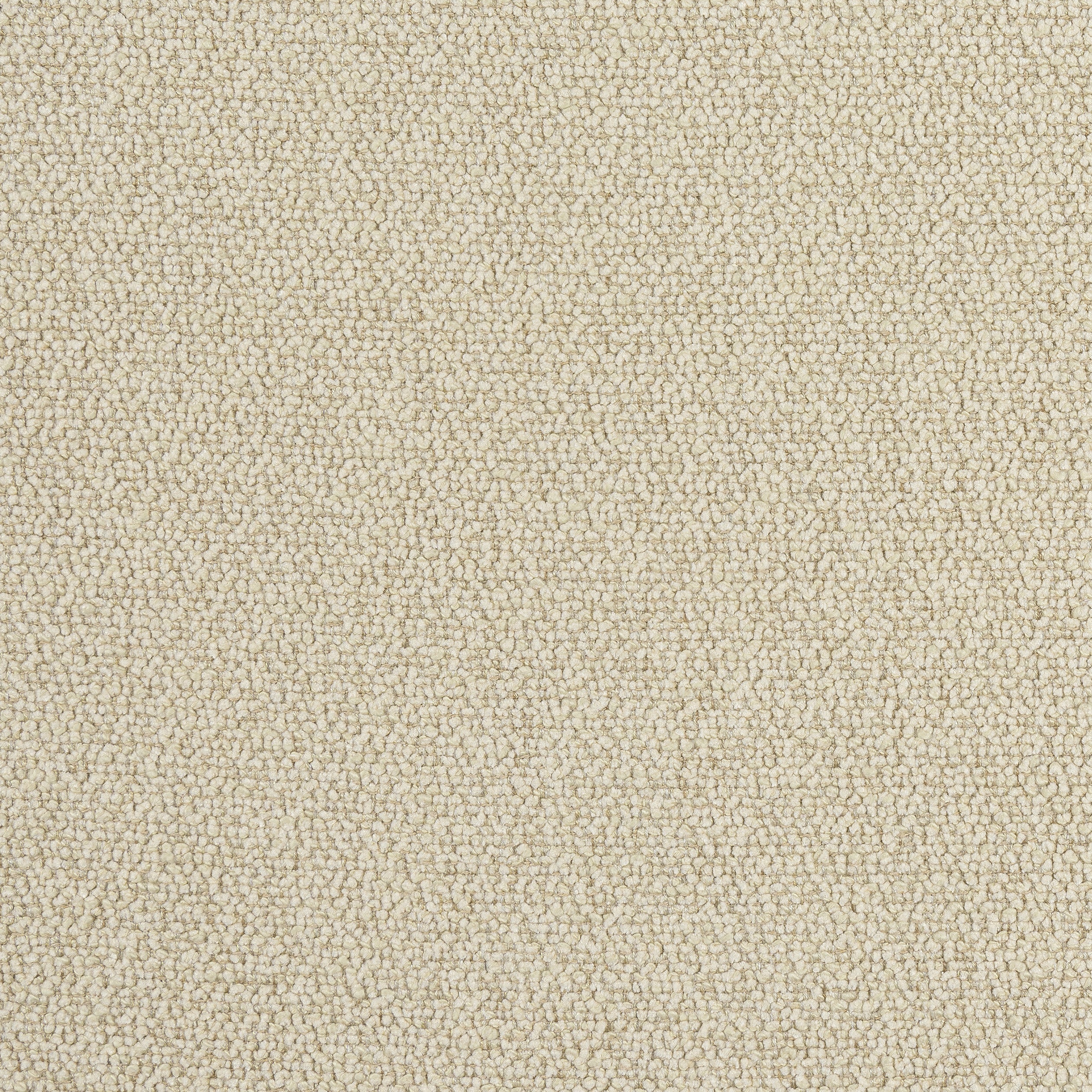 DOLCETTO - Cashmere
