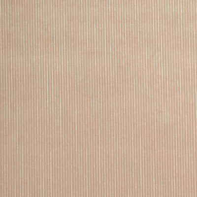 FINO VELVET - Cashmere