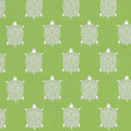 TURTLE BAY - Kiwi