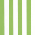 CABANA STRIPE - Kiwi