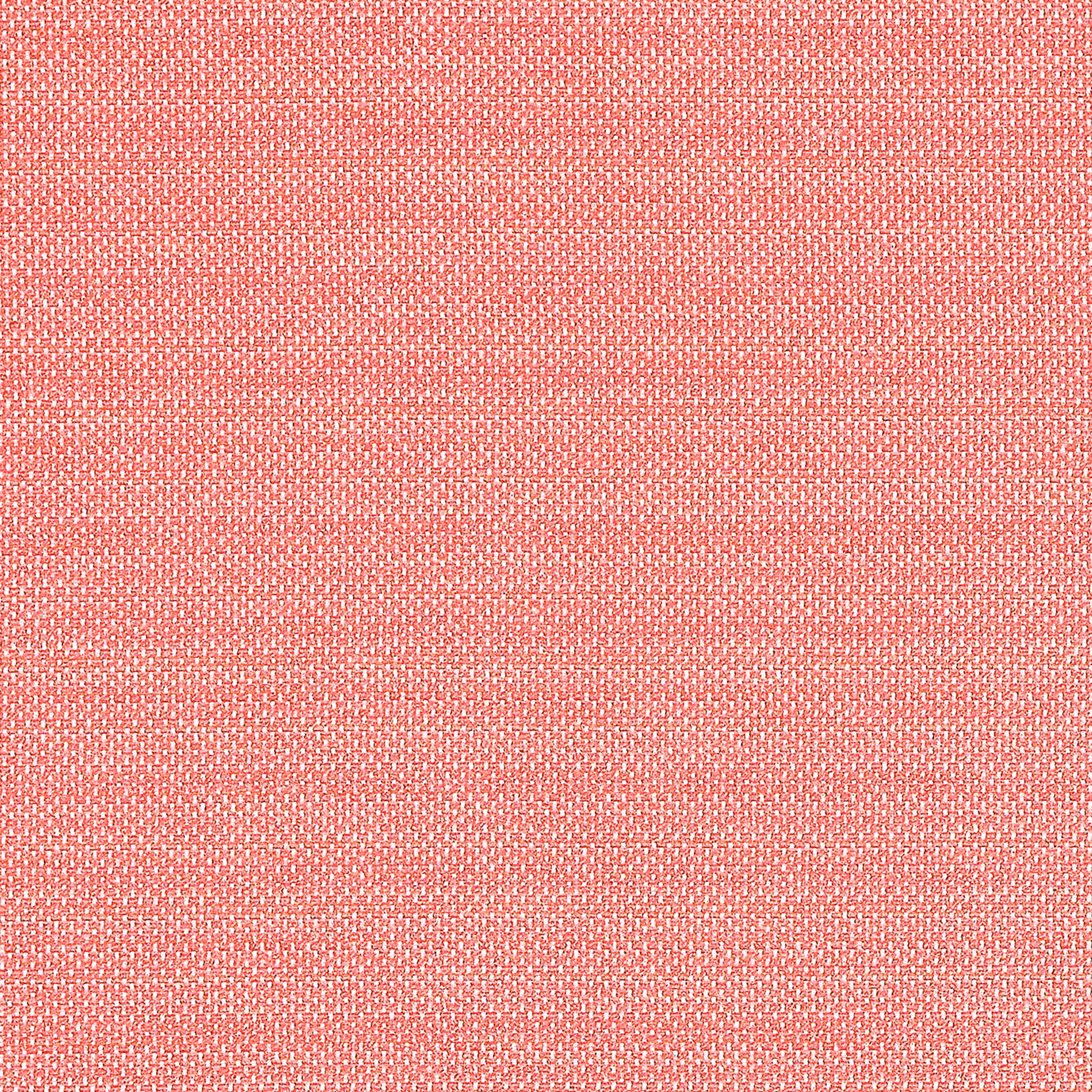 CAMERON - Coral
