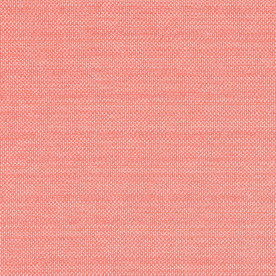 CAMERON - Coral