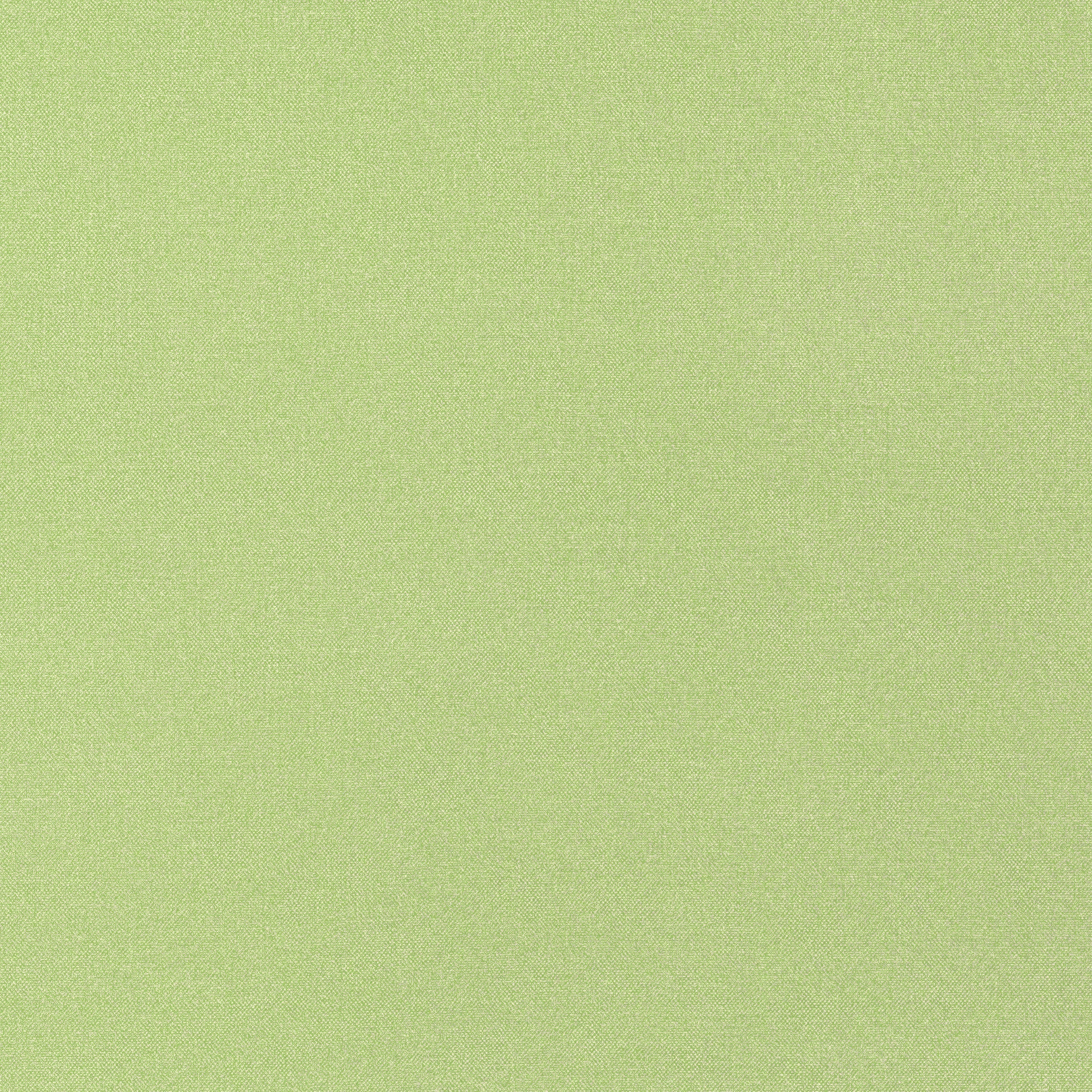 TESSA - Kiwi