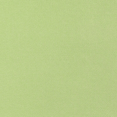TESSA - Kiwi