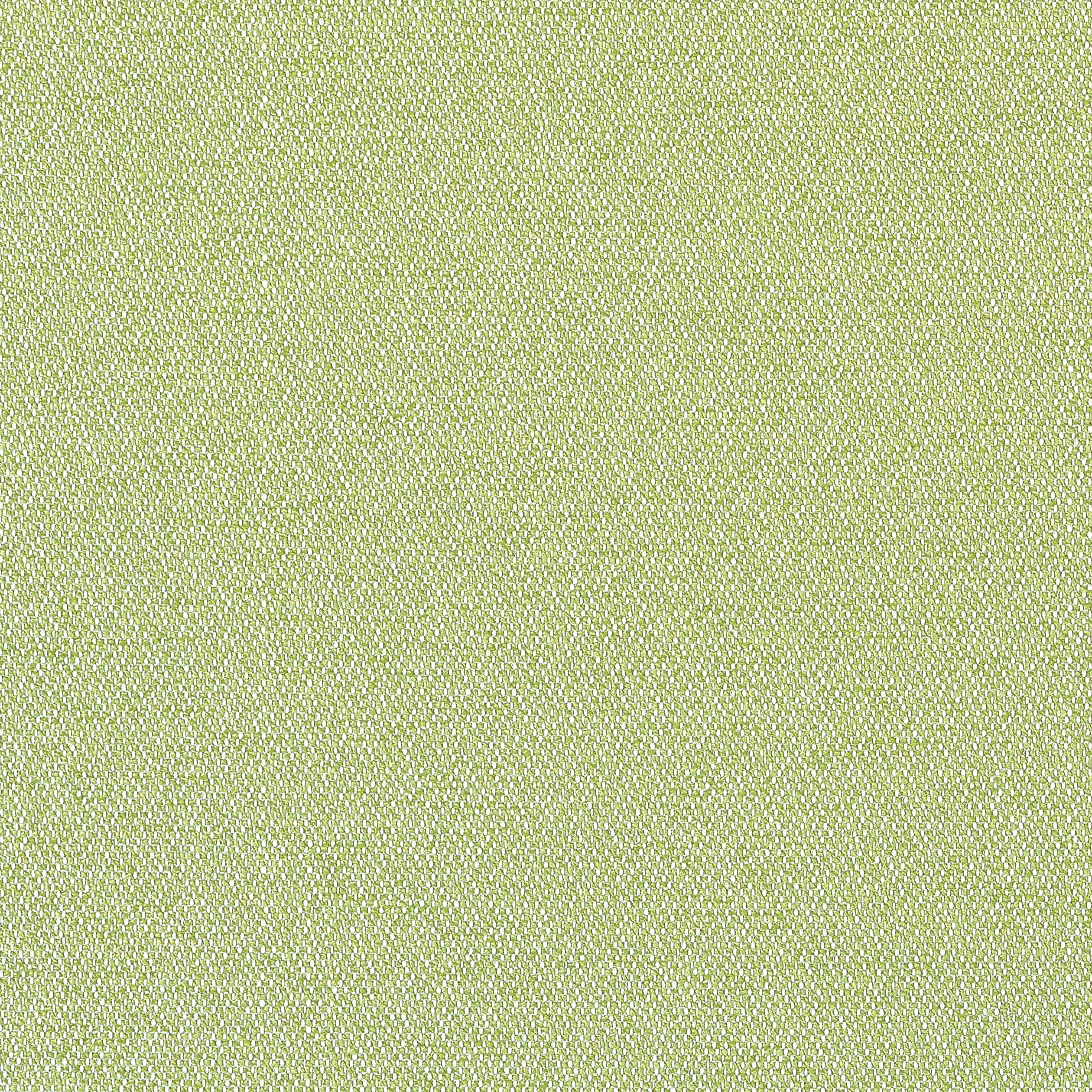 CASTAWAY - Kiwi