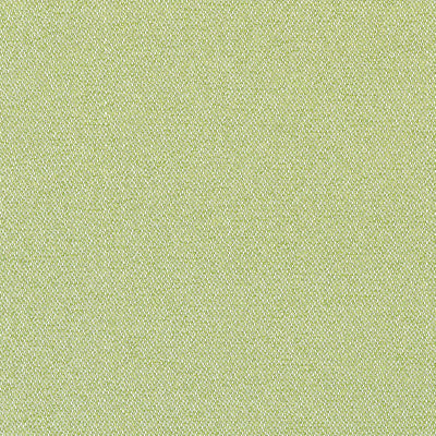 CASTAWAY - Kiwi