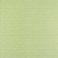 CALISTA - Kiwi