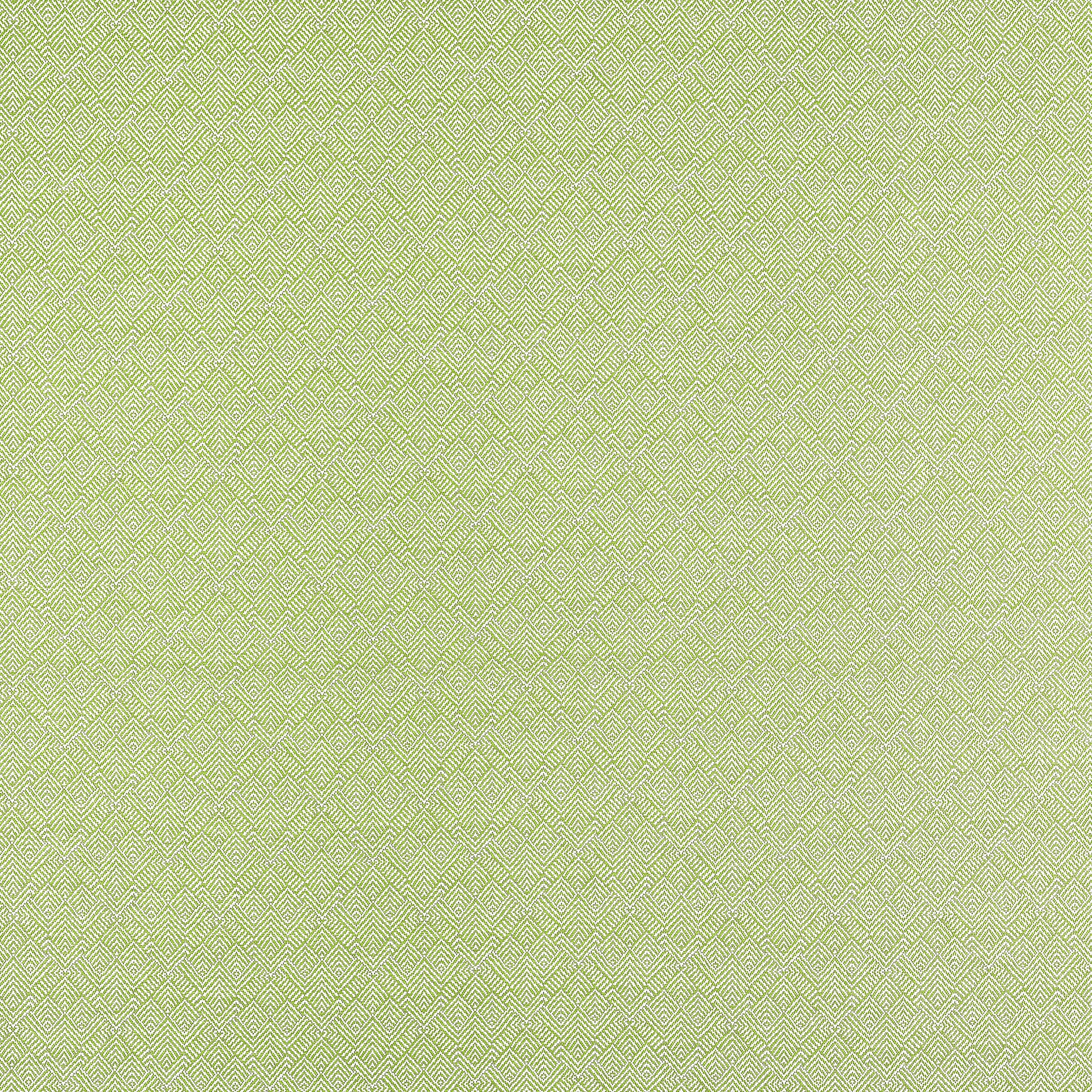 CALISTA - Kiwi
