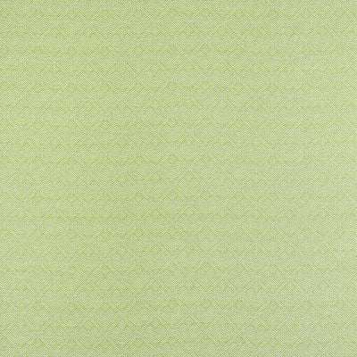 CALISTA - Kiwi