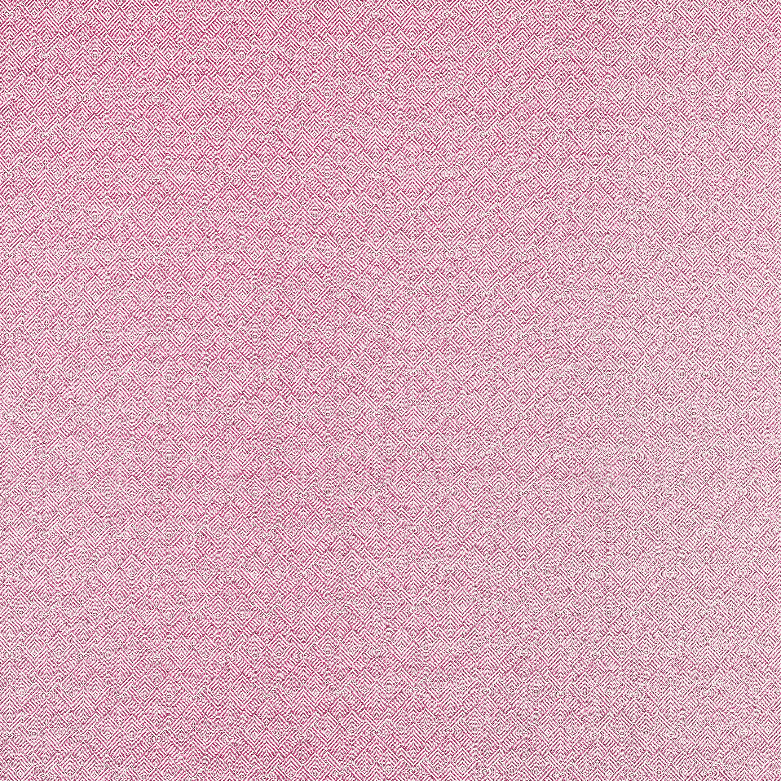 CALISTA - Peony