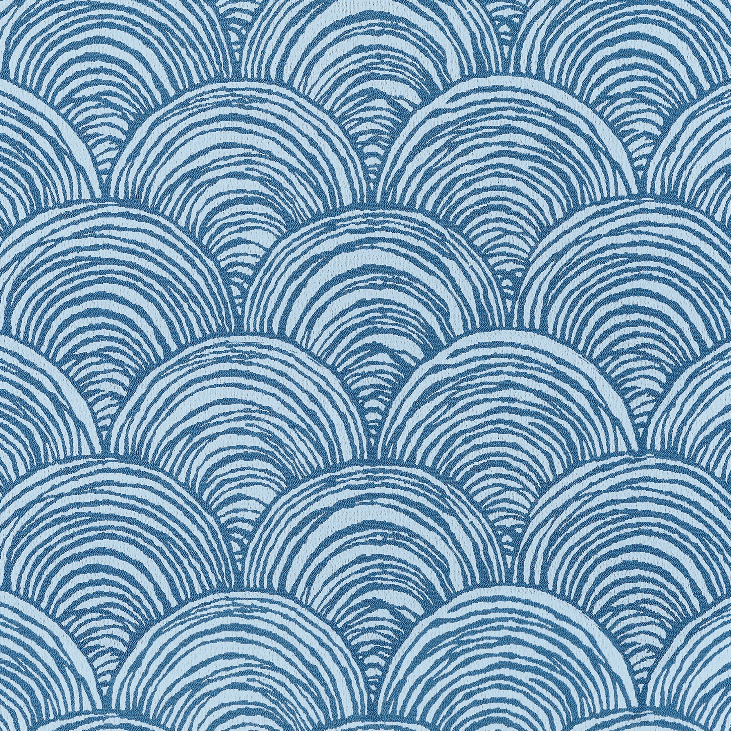 BAY POINT - Cornflower