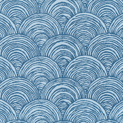 BAY POINT - Cornflower