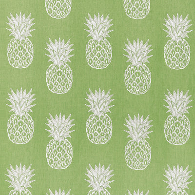 PINA COLADA - Kiwi