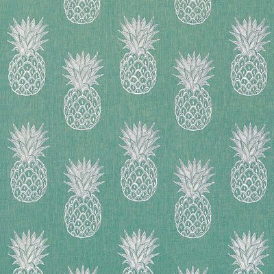 PINA COLADA - Caribbean